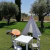tipi
